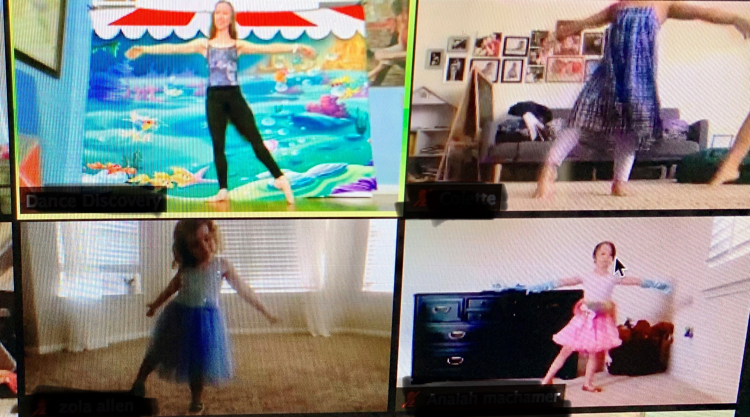zoom virtual classes