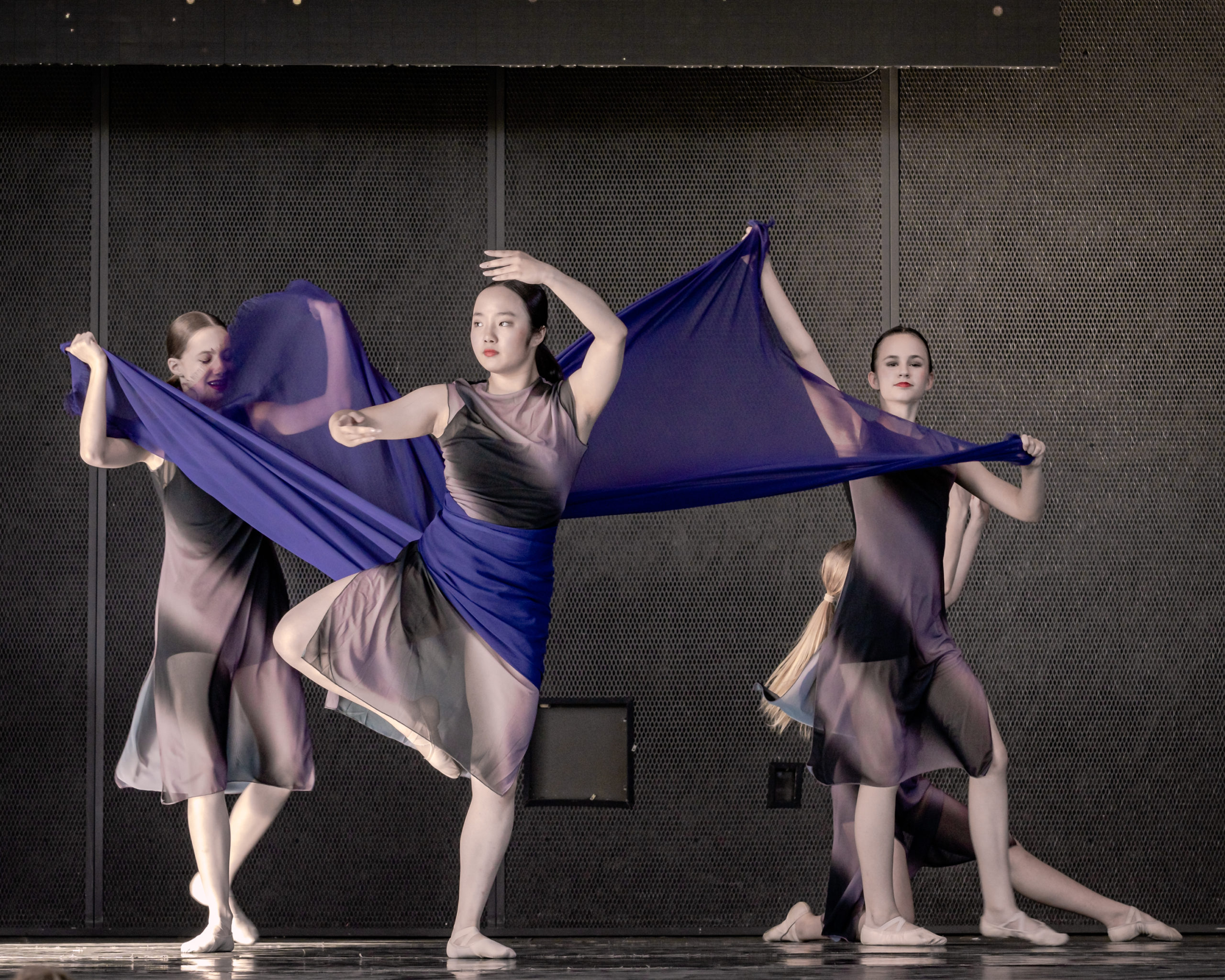 dancers with silks